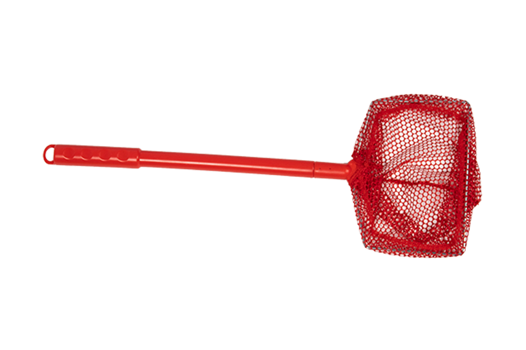 Fish Net Toy, Bug Catching Net